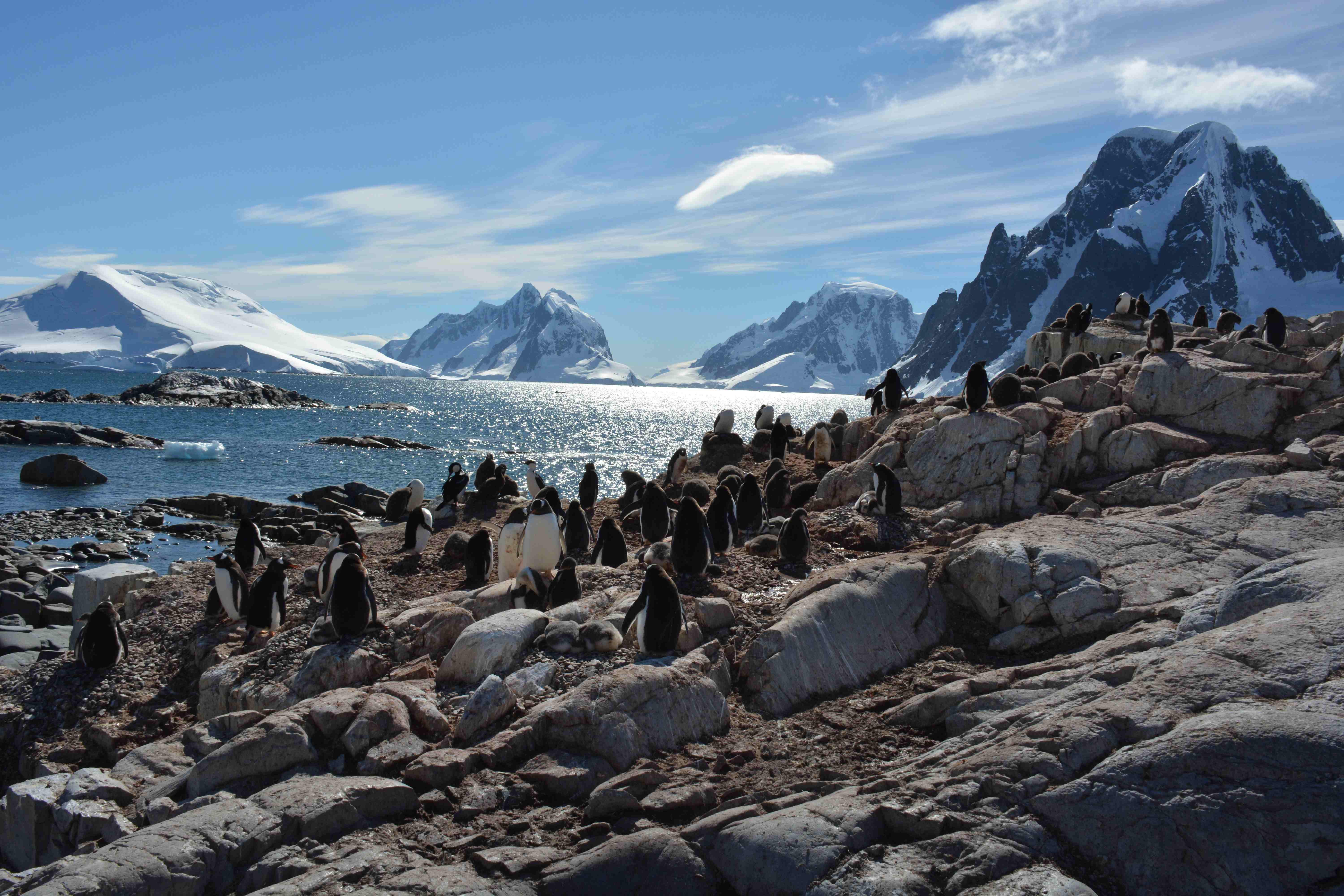 DSC_0609 - Swoop Antarctica Blog