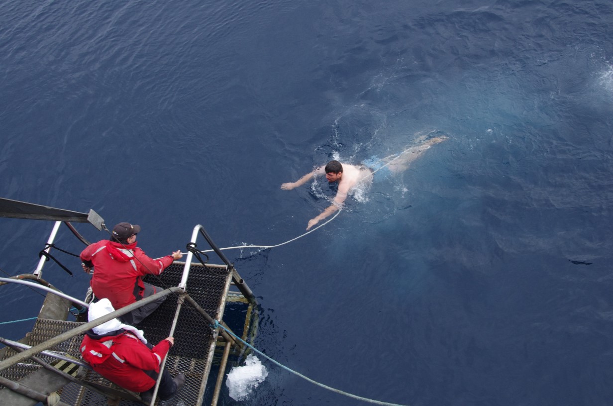 The Polar Plunge In Antarctica: How Bad Is It Really?