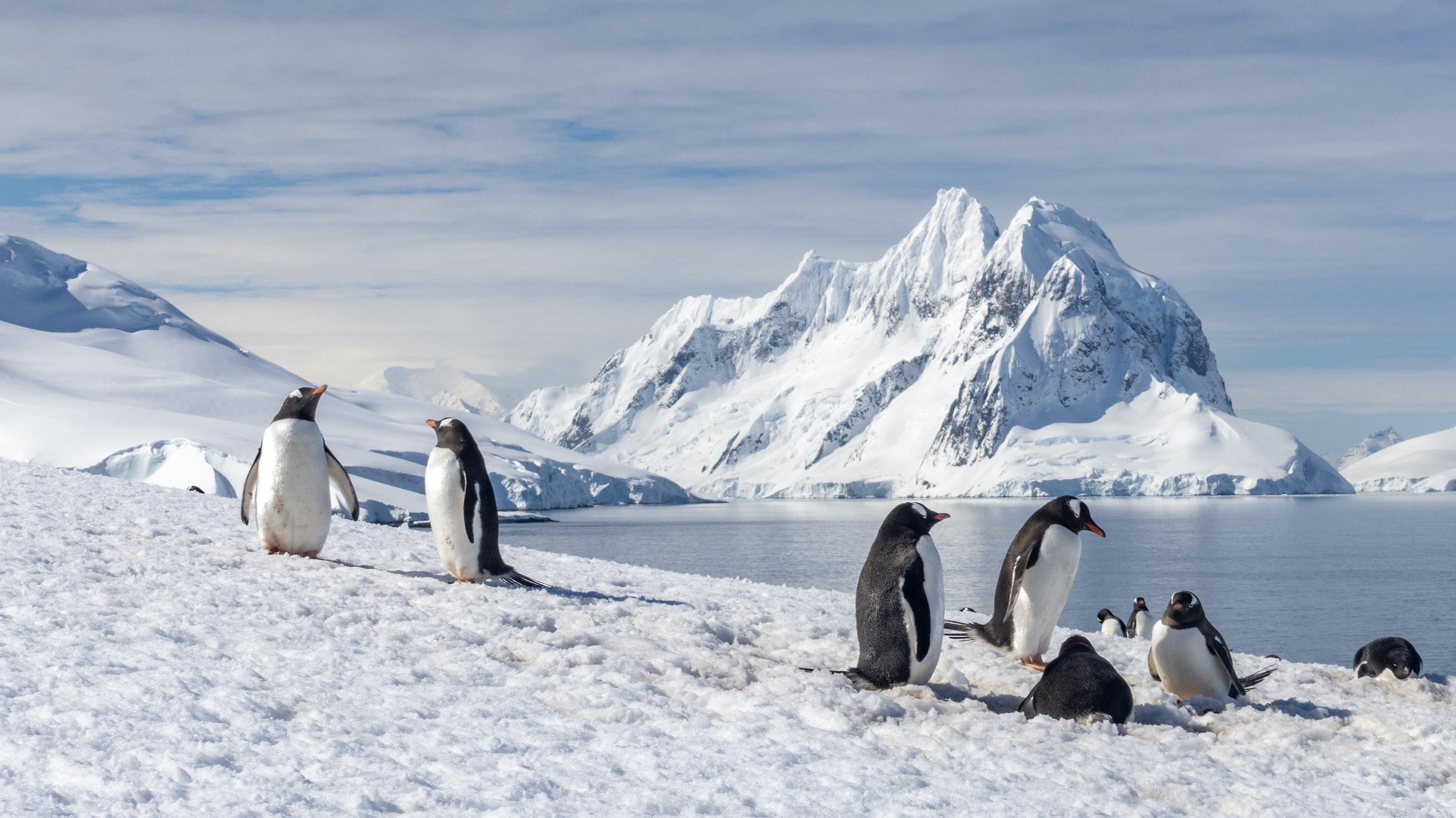 The 10 Best Places to Visit in Antarctica - Swoop Antarctica Blog